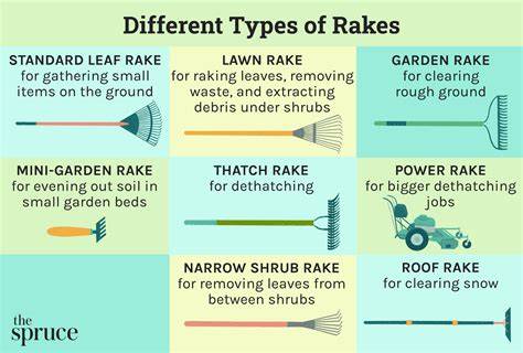 garden rake meaning