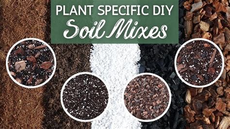Garden Soil Compound Or Mixture