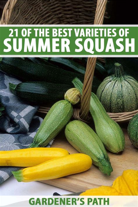 Garden Summer Squash Varieties