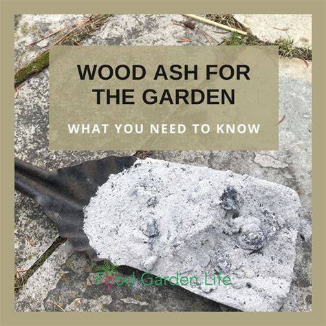 garden to ashes