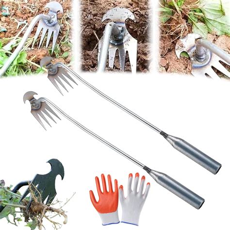 Garden Tools For Root Removal