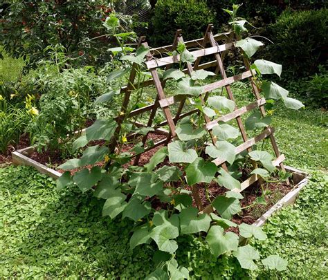 Garden Trellis For Vegetables