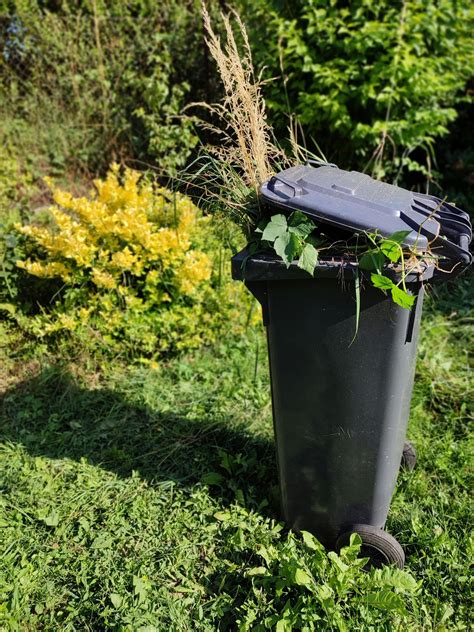 Garden Waste Bin Taunton