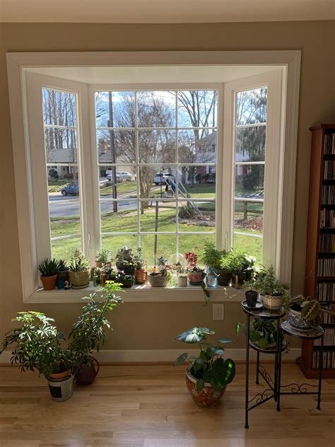 Garden Window In Bedroom