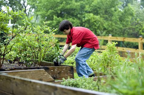 garden with boy