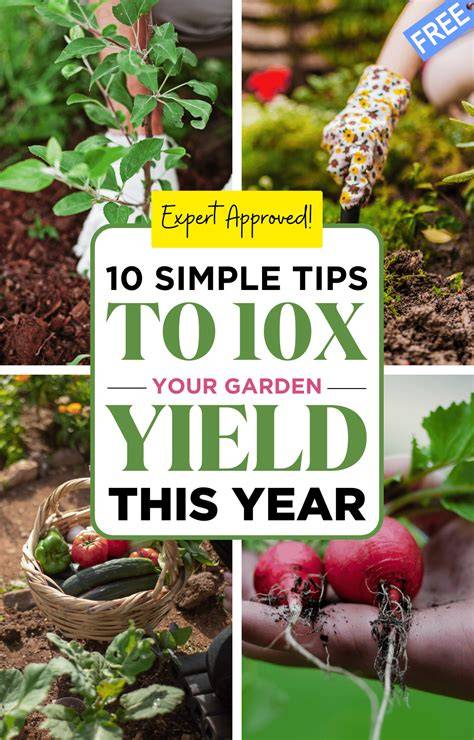 garden yield meaning