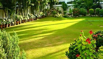 Gardening Plants In Kerala