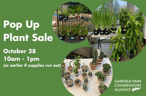 garfield park conservatory plant sale