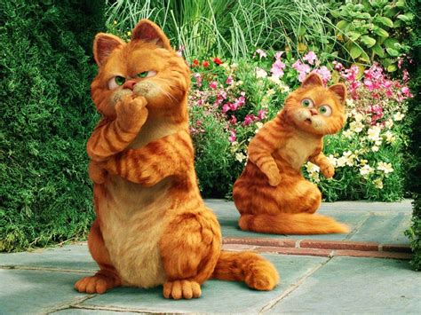 garfield the cat images