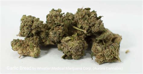 Garlic Cheese Bread Strain