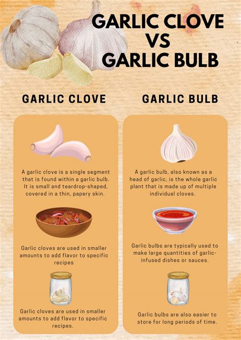 Garlic Cloves Vs Bulbs