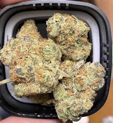 garlic cookies marijuana strain