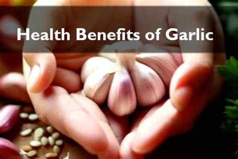 Garlic For Nausea
