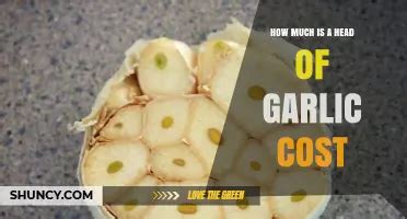 Garlic Head Cost