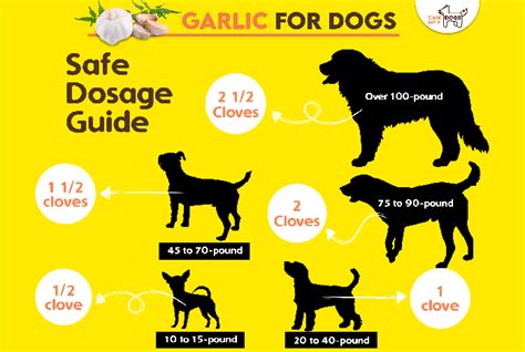 Garlic Study On Dogs
