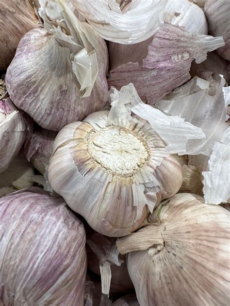 Garlic To Repel Fleas