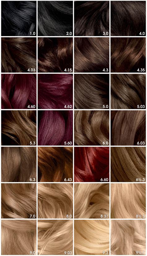 garnier hair dye color chart