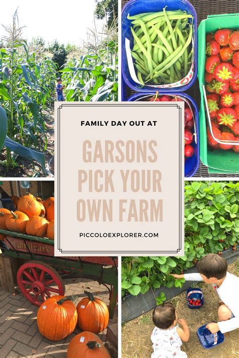 garson farm opening hours today