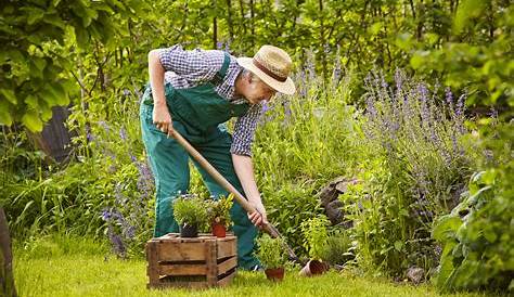 Unbekannte Raupe, bei Gartenarbeiten in der Nähe der Wurze… | Flickr