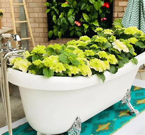 Old repurposed claw foot tub into planter Garden tub decorating, Garden bathtub, Garden tub