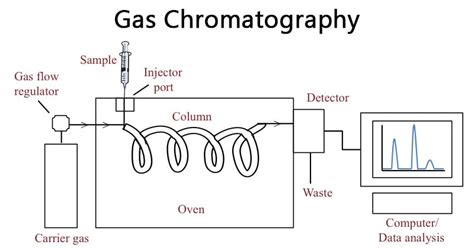 Gas Chromatography Function