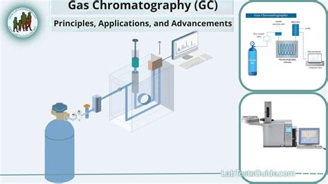 Gas Chromatography Principles Techniques And Applications