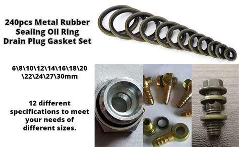 Gasket And Plug