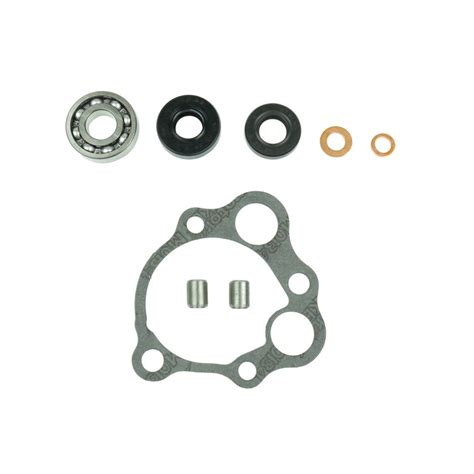 Gasket Water Pump Engine