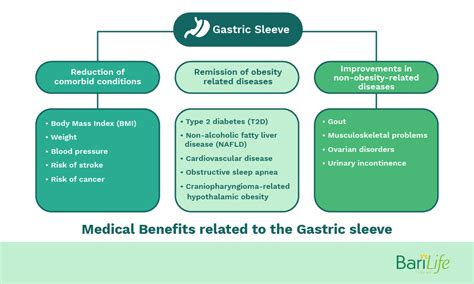 Gastric Sleeve Effectiveness