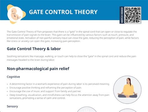 Gate Control Theory In Labor