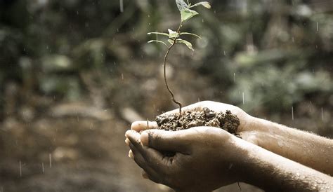 gatepoint research empty box