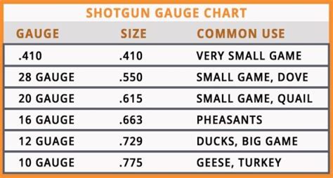 Gauge Shotgun Diameter