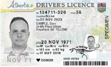 gdl license meaning