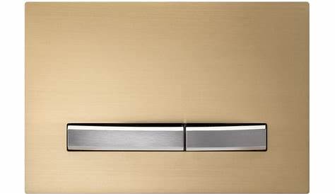 Geberit Sigma30 Gold Plated Anti Vandal Single Flush Plate