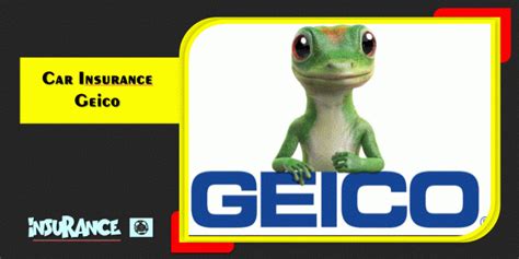 Geico Car Insurance Policy Number miza