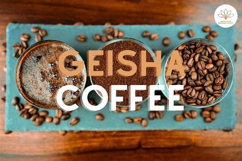 geisha coffee fremantle