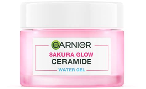Gel Moisturizer Garnier