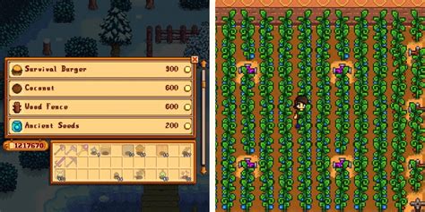 geleia de fruta antiga stardew valley