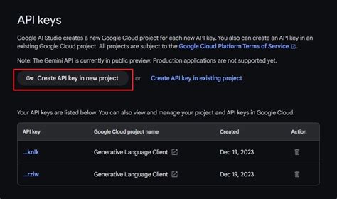 gemini api key tutorial
