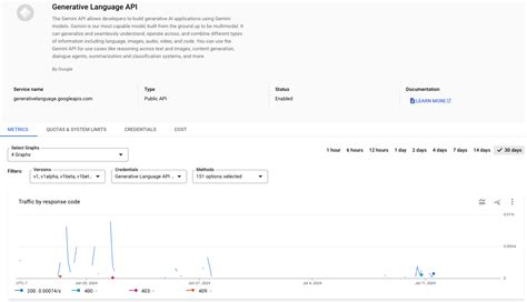 gemini api usage console