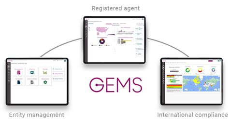 gems entity management system