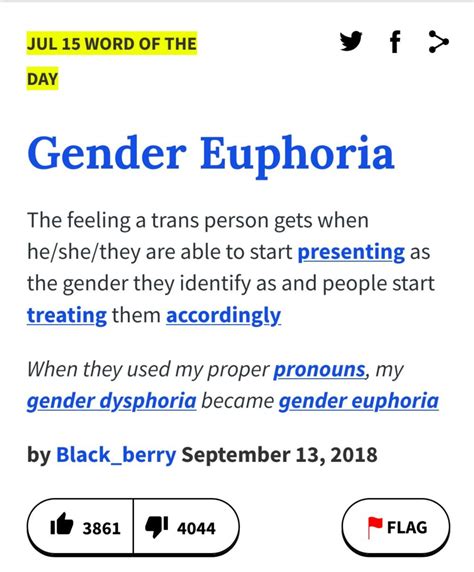 gender euphoria meaning