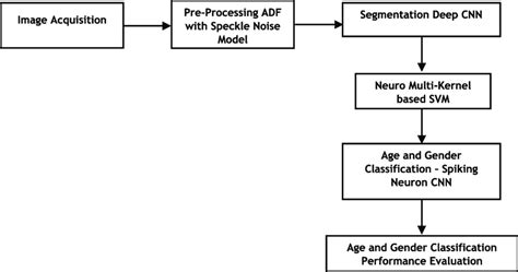 Gender Identification Age