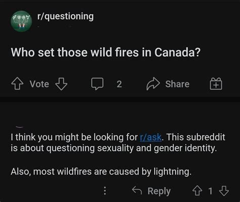 Gender Questioning Reddit