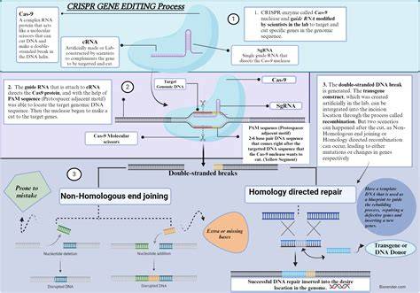 Information Gene Editing Technology in 2026: Latest Trends and Practical Advice Update