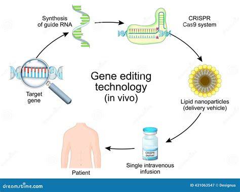 Full Gene Editing Technology in 2026: Latest Trends and Practical Advice Guide