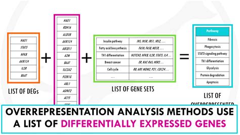 Gene Set Analysis Drug