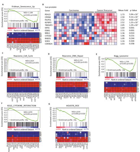 Gene Set Analysis Toolkit
