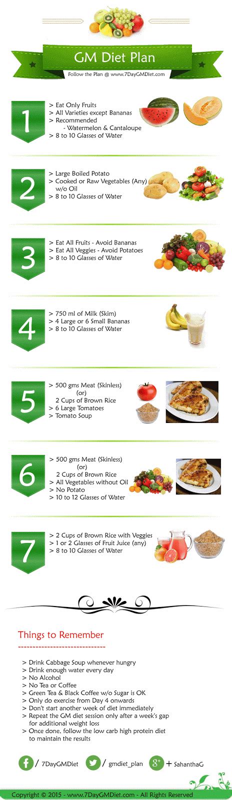 general motors diet plan