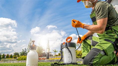 General Pest Control Images